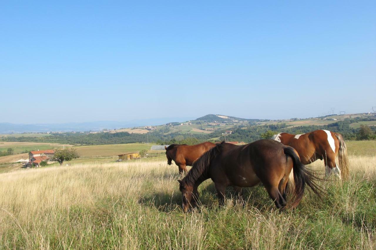Gite Le Corral Cheminas Bagian luar foto